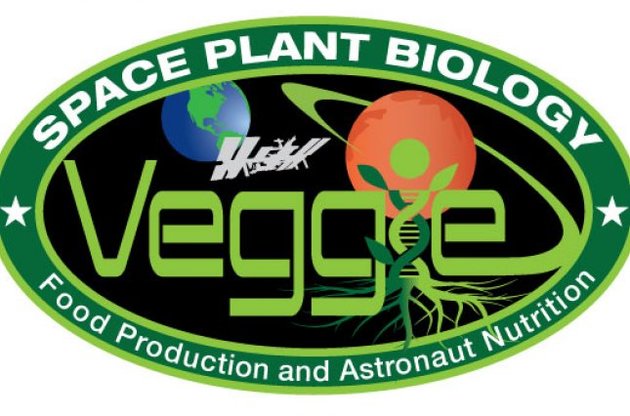 До Нового року на МКС зростуть перші космічні квіти