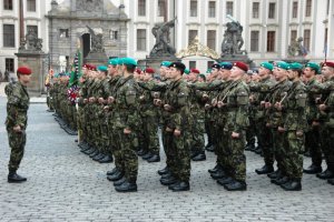 Чехія готова брати участь у наземній операції проти "Ісламської держави" в Сирії