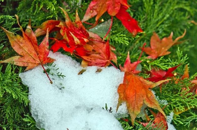 В Україну повернуться нічні морози