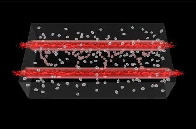 Через некоторое время сосуды обрастают капиллярами