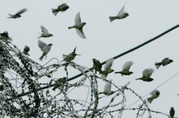 За 16 месяцев поступило 3313 обращений с просьбой о помиловании