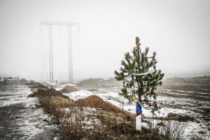 Рік очищення