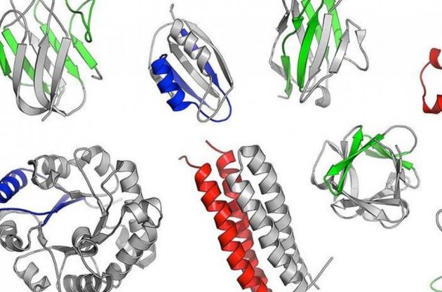Учеными обнаружены доисторические предки белков
