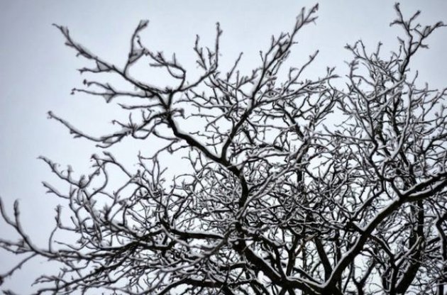 В Украину пришла настоящая зима