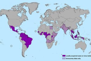 В США предупредили о вспышке лихорадки Зика в Центральной и Южной Америке