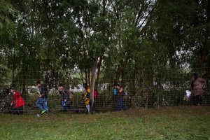 Венгрия и Словения требуют от Греции строительства забора на границе для предотвращения наплыва беженцев