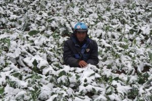 На Тайвані від небувалих холодів померли 50 осіб