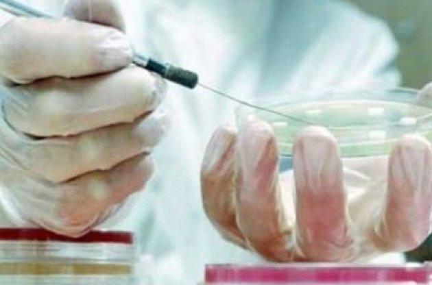 Вирус Зика является причиной рождения младенцев с недоразвитым мозгом