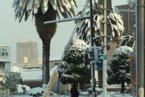 На юге Японии впервые за 115 лет выпал снег