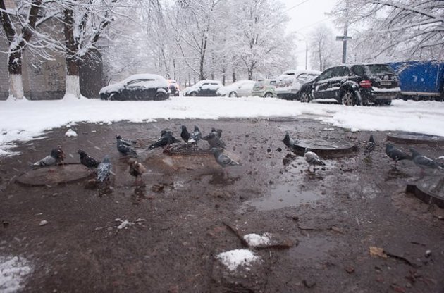 На початку тижня в Україні очікуються дощі та мокрий сніг