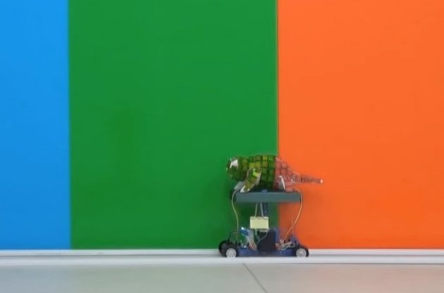 Робот выполнен в виде модели кота