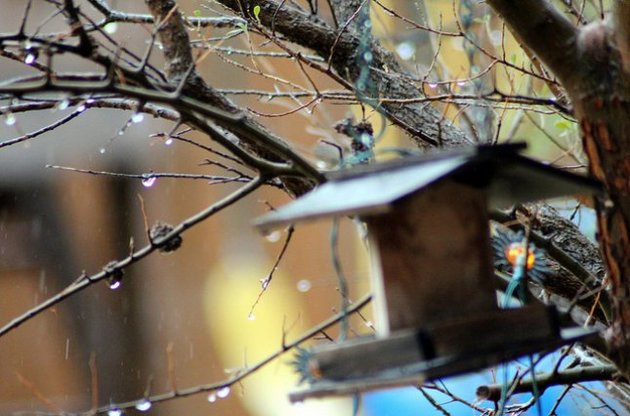 У Києві очікуються лютневі зливи