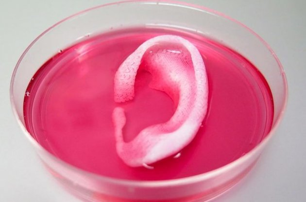 На 3D-принтере распечатали ушную раковину живыми клетками