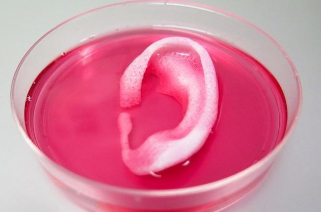 Ушную раковину полностью распечатали на 3D-принтере