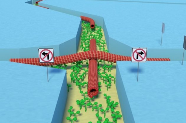 &quot;Живий&quot; комп&#039;ютер став більш компактною і екологічною версією звичайного комп&#039;ютера