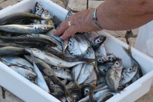 Рибна галузь - у стані системної кризи: українець в середньому з'їдає 8 кг риби на рік при нормі 20