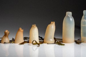 Створені пляшки з водоростей, що здатні швидко розкладатися