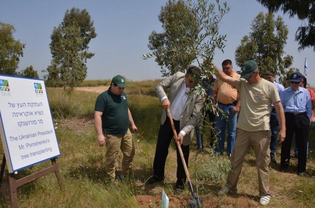 В Израиле начали высаживать "Лес Украины"