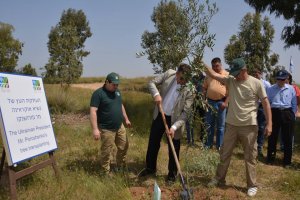 В Израиле начали высаживать "Лес Украины"