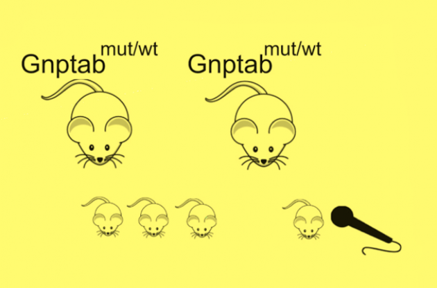 Писк мышат с заиканием производится &quot;рывками&quot;