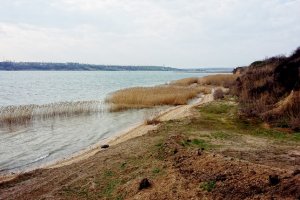 Шумів очерет,  причали снились...