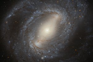 "Хаббл" зробив фото галактики із сузір'я Волосся Вероніки