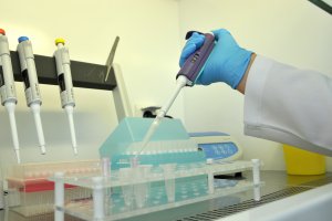 Проекти і прожекти громадського здоров'я