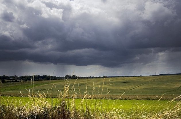 В Украине в начале недели будет тепло, но повсеместно пройдут дожди с грозами