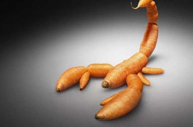Немецкий концерн  Bayer готов купить ГМО-гиганта Monsanto