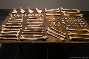 Три по три у Пинчука