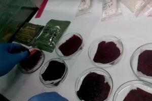 Українські вчені-волонтери зареєстрували кровоспинний засіб "Кровоспас"