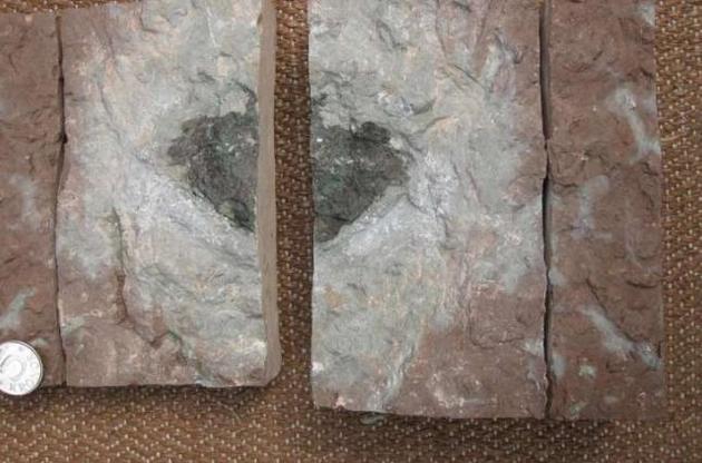 Возраст осколка составляет около 470 миллионов лет