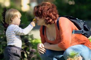 Билет до Амстердама