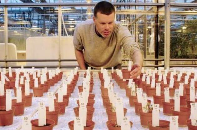 Ученые признали съедобными выращенные в "марсианских условиях" овощи