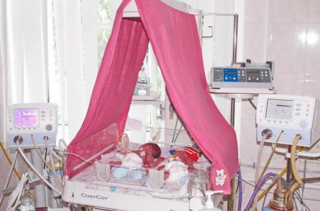 На фото - двоє з п&#039;ятьох новонароджених