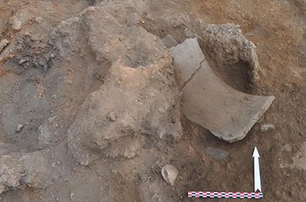 Археологи обнаружили самое древнее в мире вино