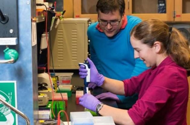 Исследователи записали 200 Мб данных на ДНК