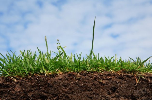 В Україні стрімко зменшується вміст гумусу в ґрунтах, а для зростання врожаю постійно розширюються орні площі