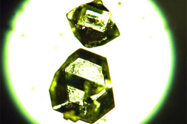 Знайдені у вічній мерзлоті зразки виявилися МОКП