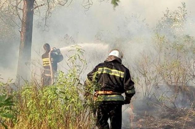 В Киеве на Трухановом острове сгорели 1,5 га сухой травы
