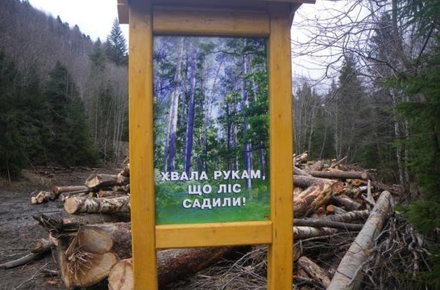 Лісові пристрасті, або Плюси і мінуси мораторію на експорт кругляку