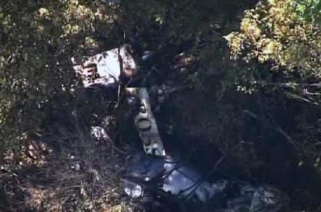 У Вірджинії легкий літак врізався в дерева при посадці