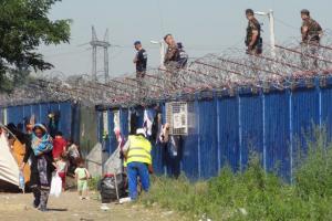 Венгрии понадобились тысячи "охотников" для отлова беженцев