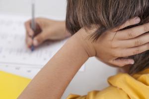 Шкільні зміни:  теорія і практика