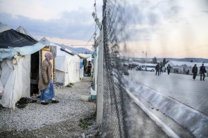Австрія зводить паркан на кордоні з Угорщиною