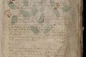 Таємничий рукопис Войнича може виявитися підробкою – вчені
