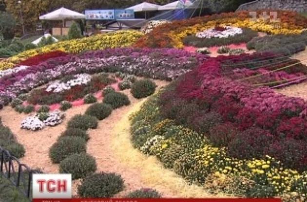 Після виставки квіти розсадять по всьому Києву