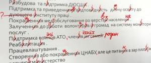 Глава Николаевской ОГА сделал десятки орфографических ошибок при прохождении конкурса