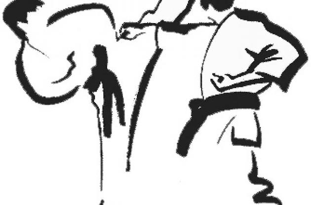 Рада скасувала відповідальність за самовільне навчання карате