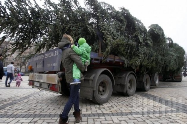 Лісівники готуються до полювання на ялинкових браконьєрів